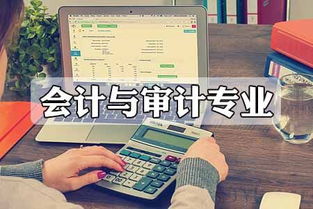 會計與審計專業競爭態勢分析 審計及稅務服務領域的角逐