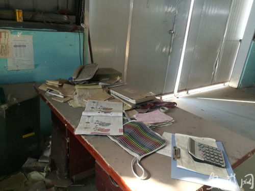 紅火童車廠的隕落 財務糾紛漩渦中的警示