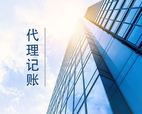 廊坊小公司代理記賬 專業(yè)會計(jì)服務(wù)的明智之選