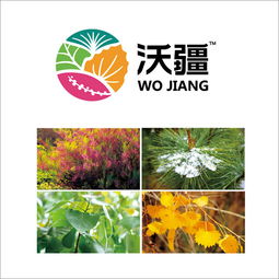 如何選定一個靠譜北京營銷策劃公司｜以福來品牌實戰經驗為例，升級你的全案戰略